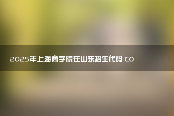 2025年上海商学院在山东招生代码：C050 专业代码及报考指南
