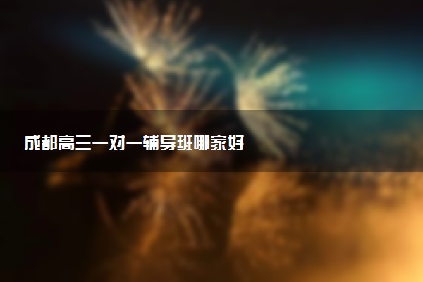 成都高三一对一辅导班哪家好