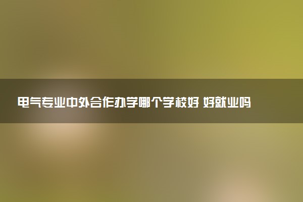 电气专业中外合作办学哪个学校好 好就业吗