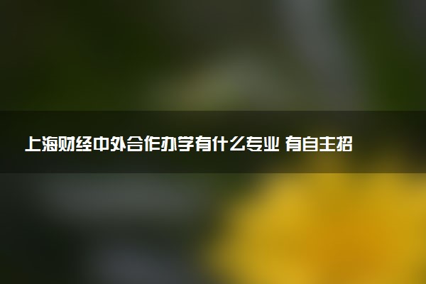 上海财经中外合作办学有什么专业 有自主招生吗