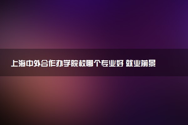 上海中外合作办学院校哪个专业好 就业前景怎么样