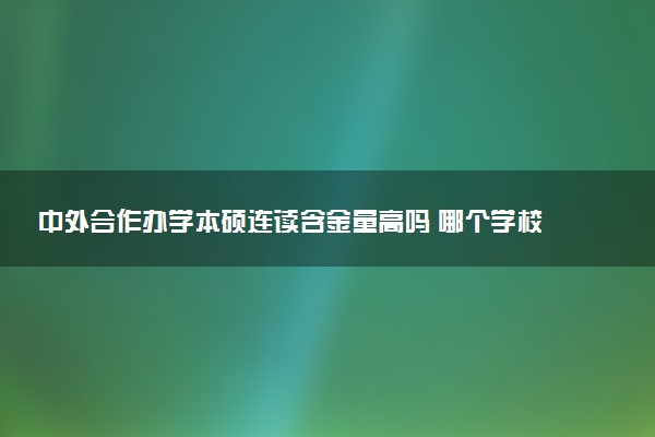 中外合作办学本硕连读含金量高吗 哪个学校好