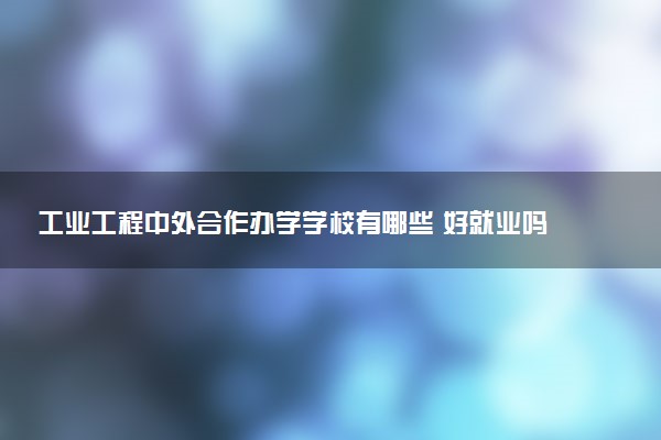 工业工程中外合作办学学校有哪些 好就业吗