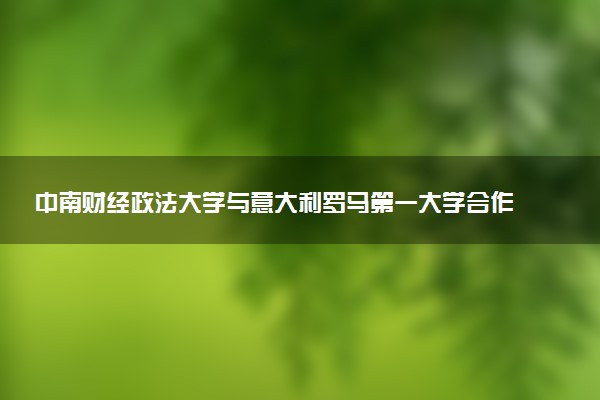 中南财经政法大学与意大利罗马第一大学合作硕士的含金量