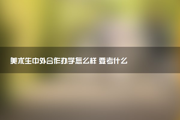 美术生中外合作办学怎么样 要考什么
