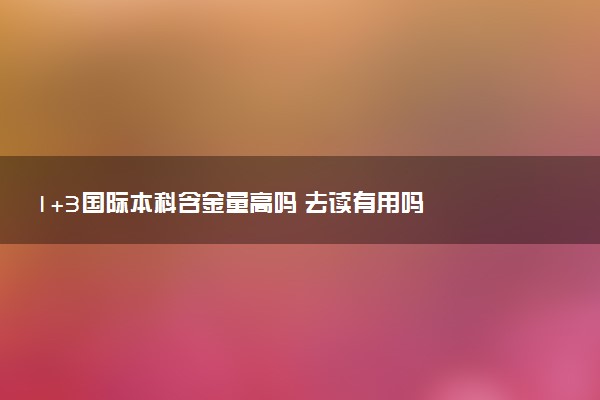 1+3国际本科含金量高吗 去读有用吗