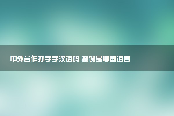 中外合作办学学汉语吗 授课是哪国语言