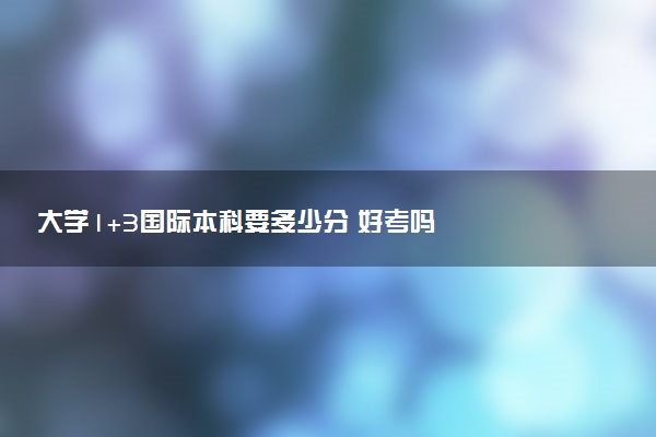 大学1+3国际本科要多少分 好考吗