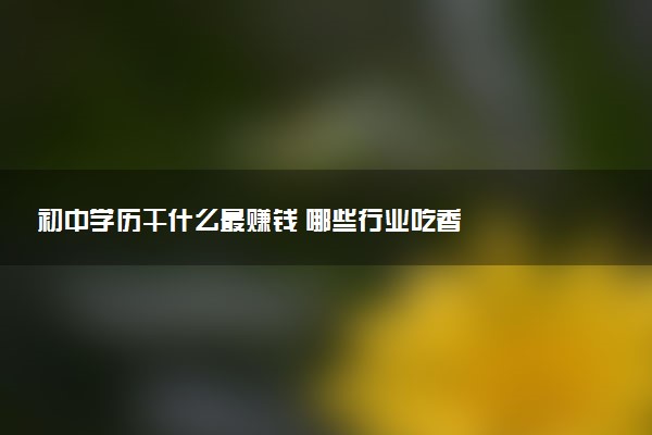 初中学历干什么最赚钱 哪些行业吃香