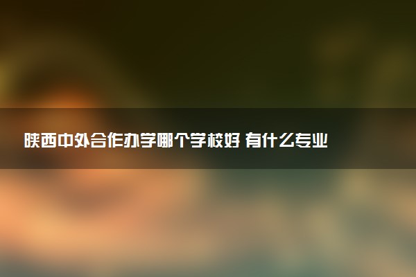 陕西中外合作办学哪个学校好 有什么专业