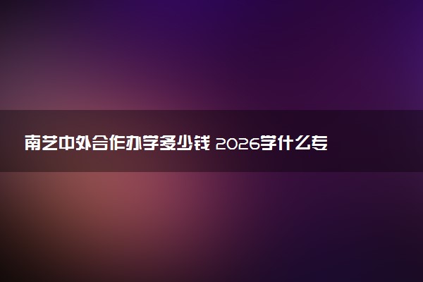 南艺中外合作办学多少钱 2026学什么专业好
