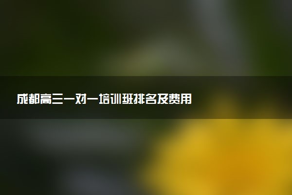 成都高三一对一培训班排名及费用