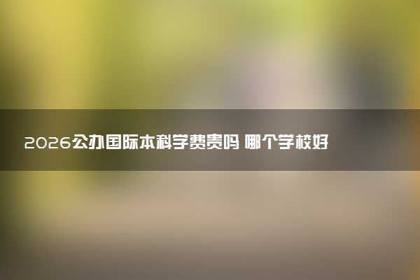 2026公办国际本科学费贵吗 哪个学校好