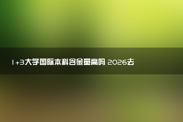 1+3大学国际本科含金量高吗 2026去读有用吗