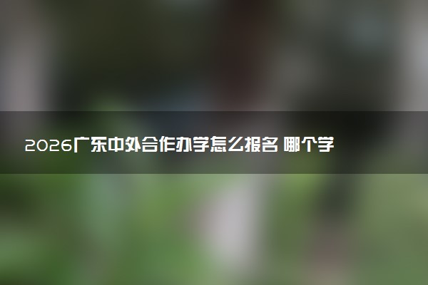 2026广东中外合作办学怎么报名 哪个学校好