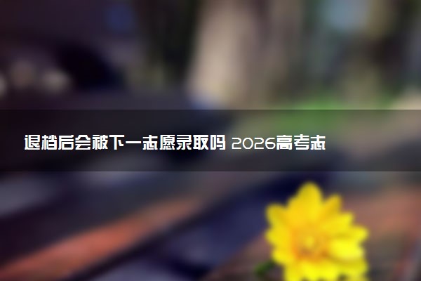 退档后会被下一志愿录取吗 2026高考志愿录取规则