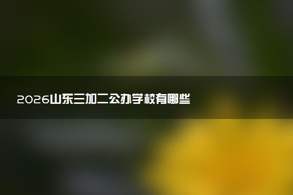 2026山东三加二公办学校有哪些