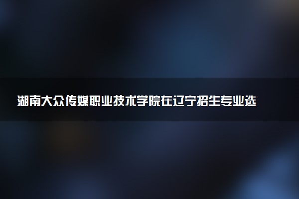 湖南大众传媒职业技术学院在辽宁招生专业选科要求对照表 新高考各专业需要选考什么科目