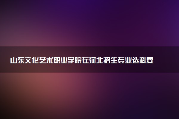 山东文化艺术职业学院在河北招生专业选科要求对照表 新高考各专业需要选考什么科目