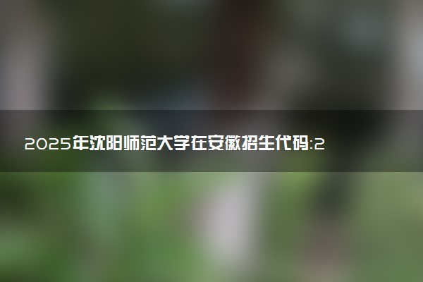 2025年沈阳师范大学在安徽招生代码：2430 专业代码及报考指南
