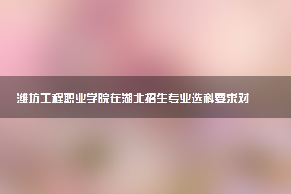 潍坊工程职业学院在湖北招生专业选科要求对照表 新高考各专业需要选考什么科目