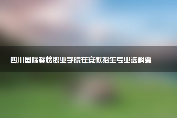 四川国际标榜职业学院在安徽招生专业选科要求对照表及代码 新高考各专业需要选考什么科目