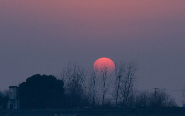 2025年辽宁师范大学在宁夏招生代码及专业代码 辽宁师范大学宁夏代码是多少？怎么查询？