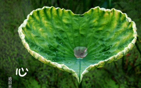 湖北工程学院各专业组在内蒙古录取分数线 2026内蒙古考生多少分能上湖北工程学院