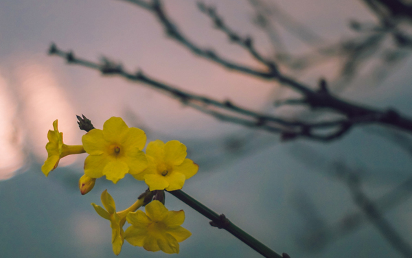 沈阳医学院各专业组在浙江录取分数线及位次 2026浙江考生多少分能上沈阳医学院