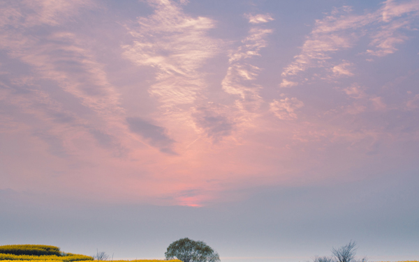 大兴安岭职业学院各专业组在黑龙江录取分数线 2026黑龙江考生多少分能上大兴安岭职业学院