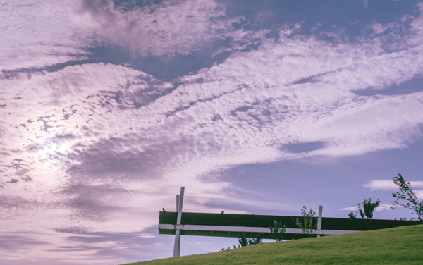 贵州中医药大学在重庆招生专业选科要求对照表 新高考各专业需要选考什么科目