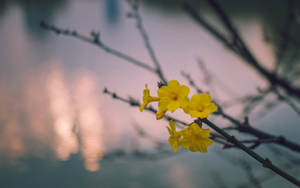 湖南医药学院各专业组在内蒙古录取分数线 2026内蒙古考生多少分能上湖南医药学院