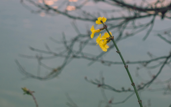 2025年齐鲁医药学院各专业在贵州录取分数线及最低位次 2026贵州考生多少分能上齐鲁医药学院