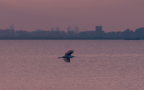 2027新高考希伯来语专业怎么选科 甘肃选科要求及必选科目有哪些