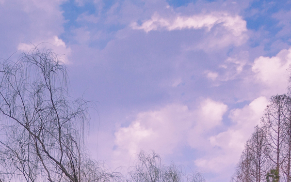 咸阳职业技术学院各专业在重庆录取分数线 2026重庆考生多少分能上咸阳职业技术学院