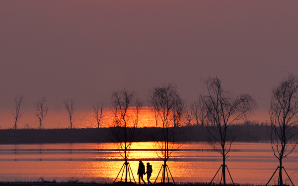 2027新高考丝绸设计与工程专业怎么选科 甘肃选科要求及必选科目有哪些