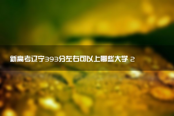 新高考辽宁393分左右可以上哪些大学 2026院校名单推荐