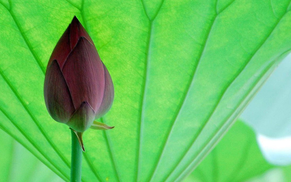 2025各省高考464200位能报什么大学？ 464200位次对应5所院校（2026冲稳保学校推荐）