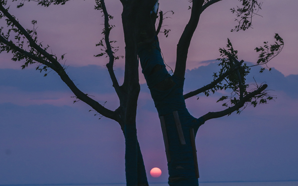 2025各省高考60100位能报什么大学？ 60100位次对应33所院校（2026冲稳保学校推荐）