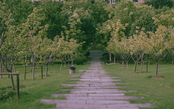郑州警察学院在江西各专业组录取位次是多少 最低录取1475位（2026年参考）