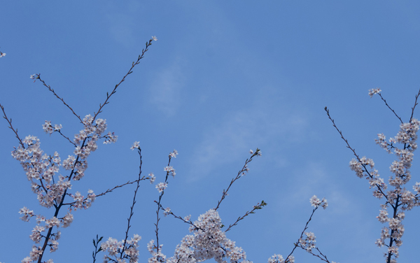 2026开设机电技术教育专业有哪些大学及排名 全国共计4所