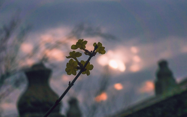 2026广东高考多少分能上齐鲁工业大学及专业？最低510分附录取分数线