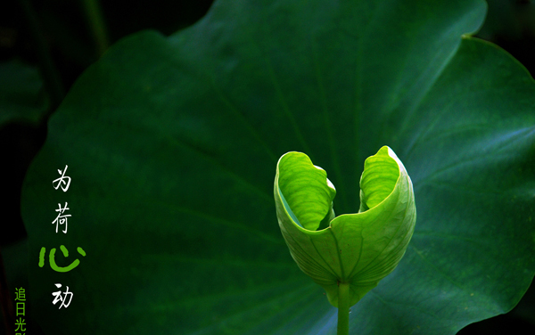 河北科技学院在山东各专业录取位次是多少 最低录取212675位（2026年参考）