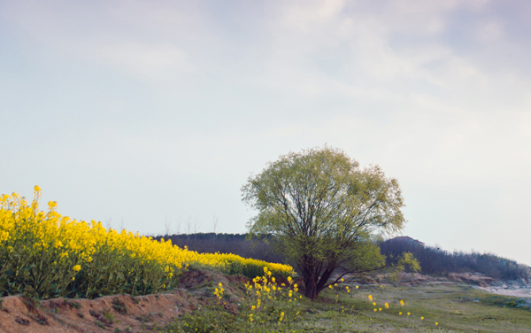 江西师范大学各专业组在甘肃录取分数线 2026甘肃考生多少分能上江西师范大学