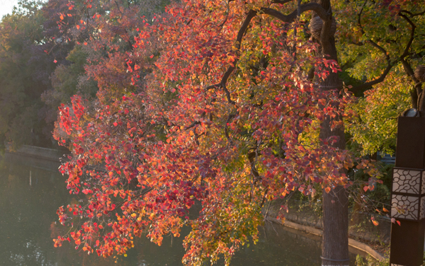 2026开设城市轨道交通工程技术专业有哪些大学及报考热度 全国共计96所