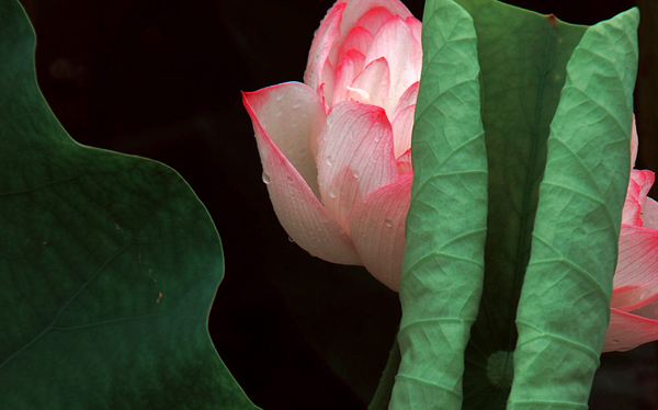 湖北物化地可以报什么大学和专业？就业率最好院校专业(2026参考)