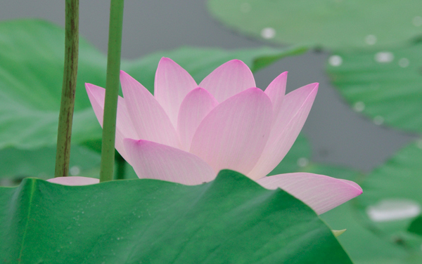 湖北医药学院在浙江各专业录取位次是多少 最低录取100935位（2026年参考）