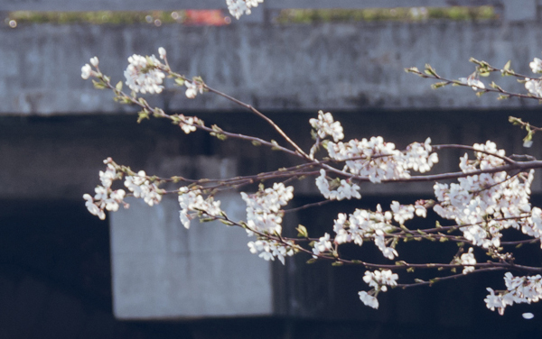 2026福建高考多少分能上江西水利职业学院及专业？最低398分附录取分数线