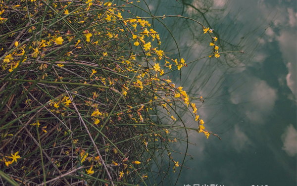 南京特殊教育师范学院各专业组在天津录取分数线 2026天津考生多少分能上南京特殊教育师范学院