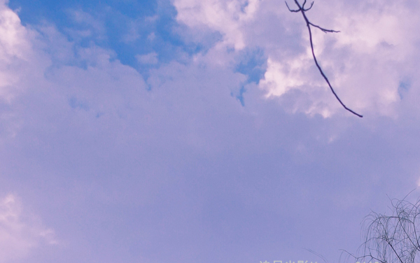 安徽文达信息工程学院是985大学还是211大学多少分考上 含2025分数线及招生计划